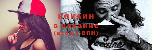 прущий лед Верея