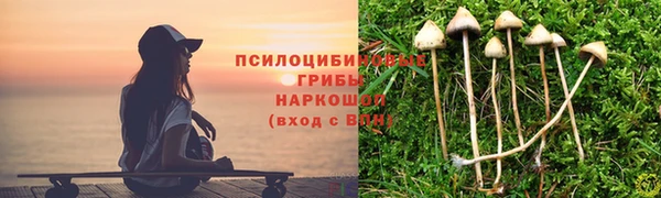 гашик Бронницы